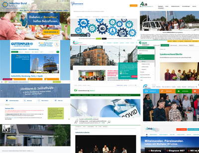 Einige Screenshots von Selbsthilfe-Organisationen mit einer Qualitätsgesicherten Homepage  